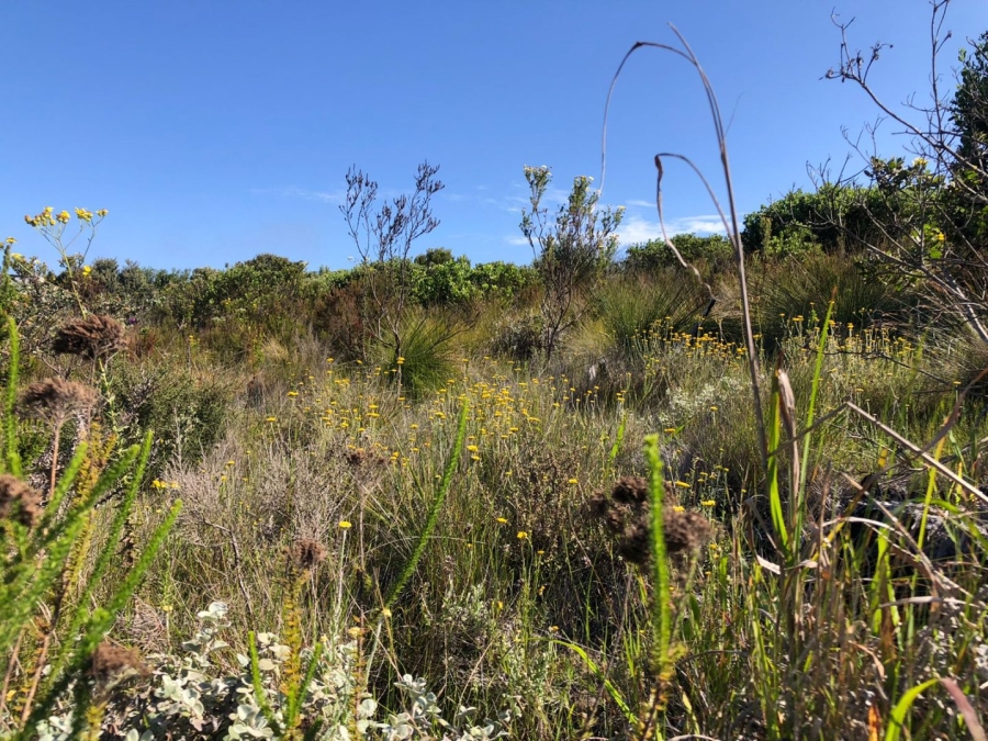  Bedroom Property for Sale in Pezula Private Estate Western Cape